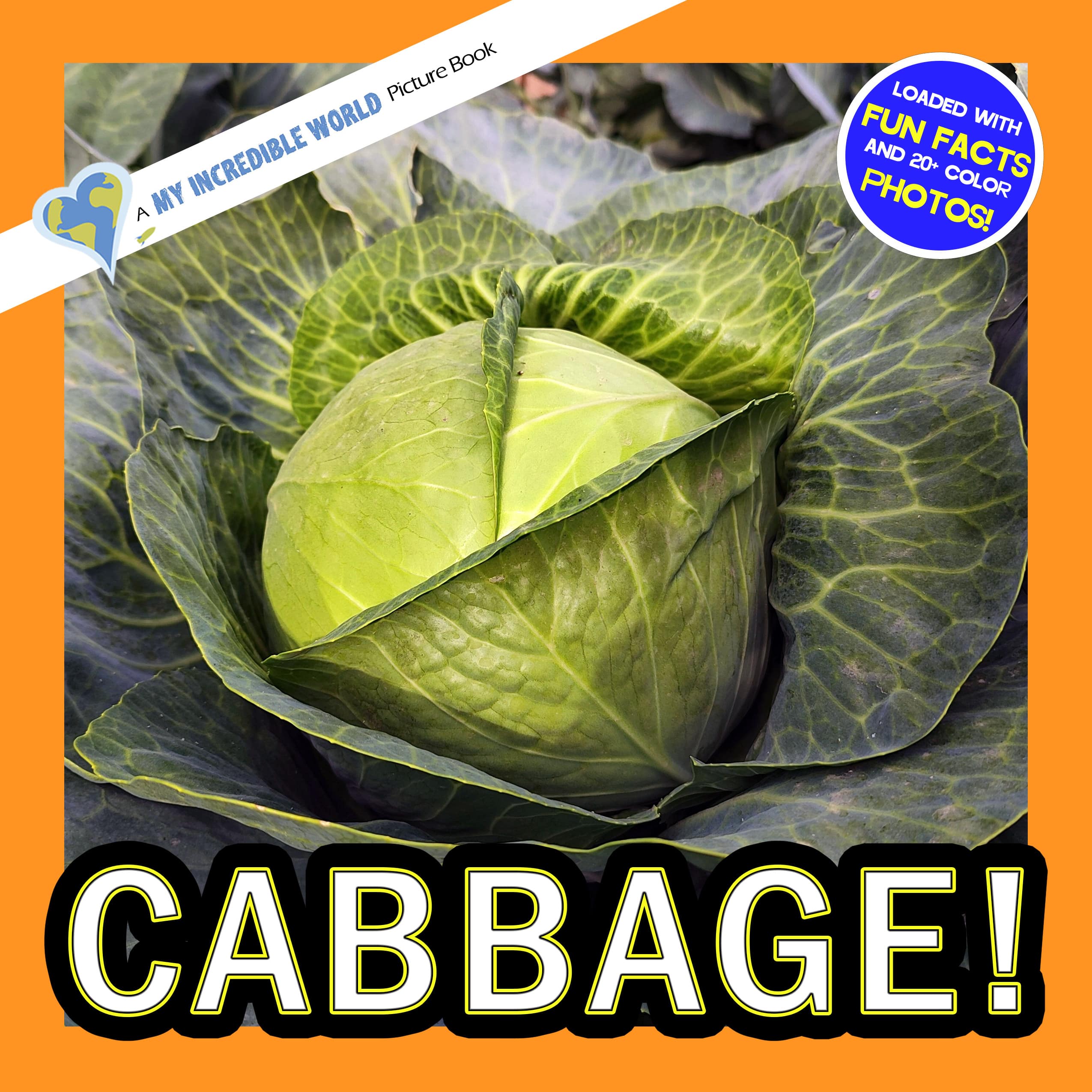 Cabbage! A My Incredible World Picture Book for Children